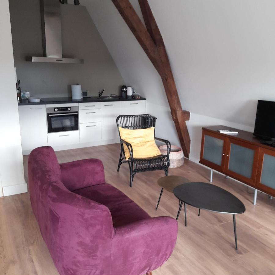 Historic Renovated Apartment With Balcony And Garden View Gouda Buitenkant foto